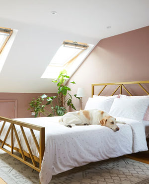 Image Scroller 3 Image Scroller 3