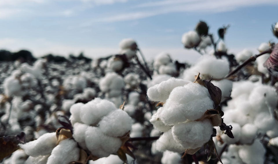 Sustainably sourced, <br>ethically produced. Sustainably sourced, <br>ethically produced.