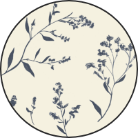 Romantic Botanicals - Elderflower